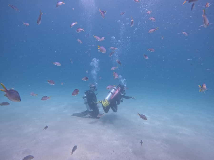 From Dubai: Try Scuba Diving, Snorkeling with BBQ & Transfer - Leaving Dubai before the heat builds