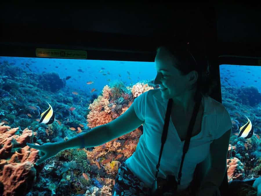From El Gouna: Royal Seascope Submarine with Snorkel Stop - The 20-minute snorkeling stop