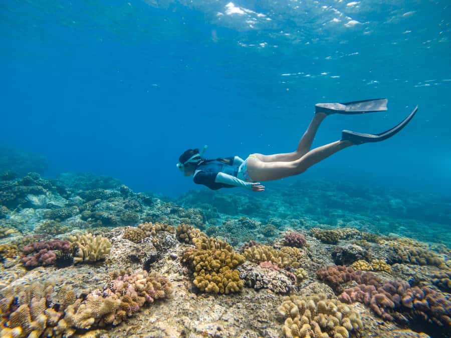 From Fajardo: Boat and Snorkeling in Culebra Island with All-Inclusive - Key Details Before You Book