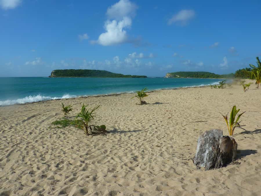 From Fajardo: Boat and Snorkeling in Culebra Island with All-Inclusive - Beach Time on Culebra