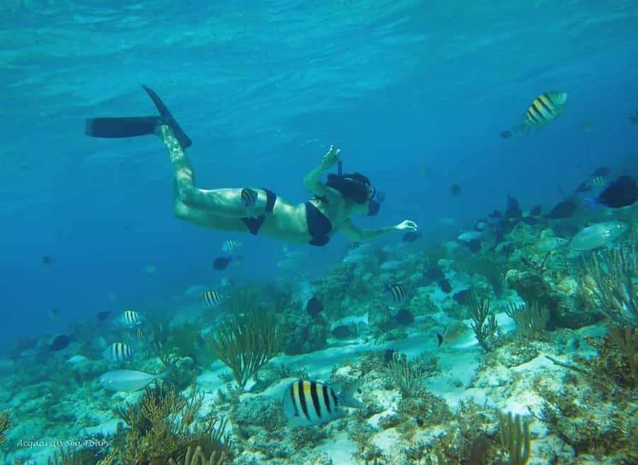 From Fajardo: Boat and Snorkeling in Culebra Island with All-Inclusive - How Much Value Do You Get for $169?