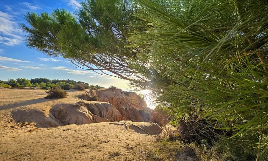 From Faro: 7 Valleys Hiking, Benagil Cave, & Snorkeling Tour - Two hours for swimming, snorkeling, or doing nothing