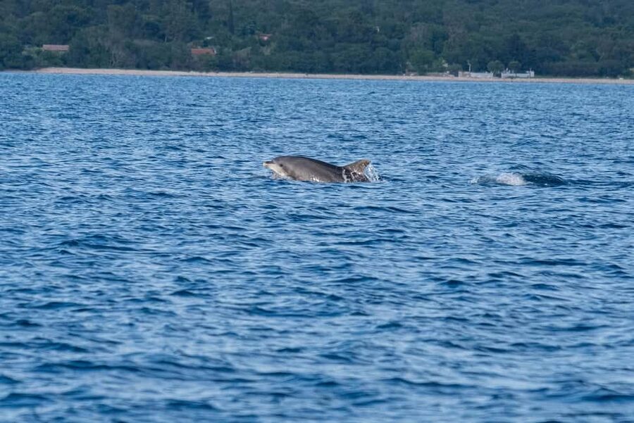 From Fazana: Dolphin watching and snorkeling in Blue Cave - The Blue Cave, with an important safety limit