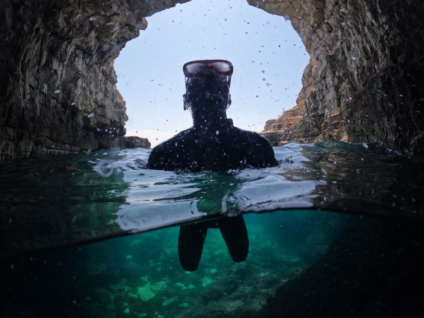From Fažana: snorkeling at sea cave and Brijuni Island - Who will enjoy it most