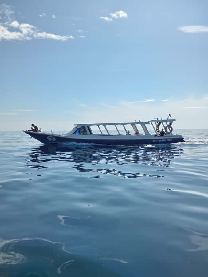 From Gili Air : 3 Islands Snorkeling Trip with Sea Turtles - Coral, fish, and what you may actually see