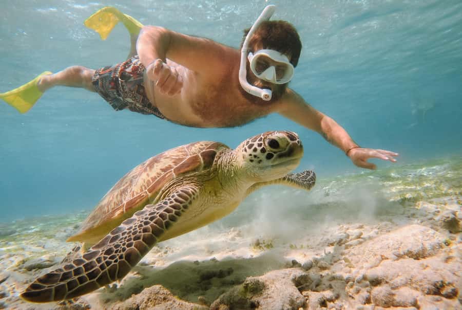 From Gili Air: Snorkeling with Turtles & Underwater Statue - Starting at Gili Air with simple, friendly logistics