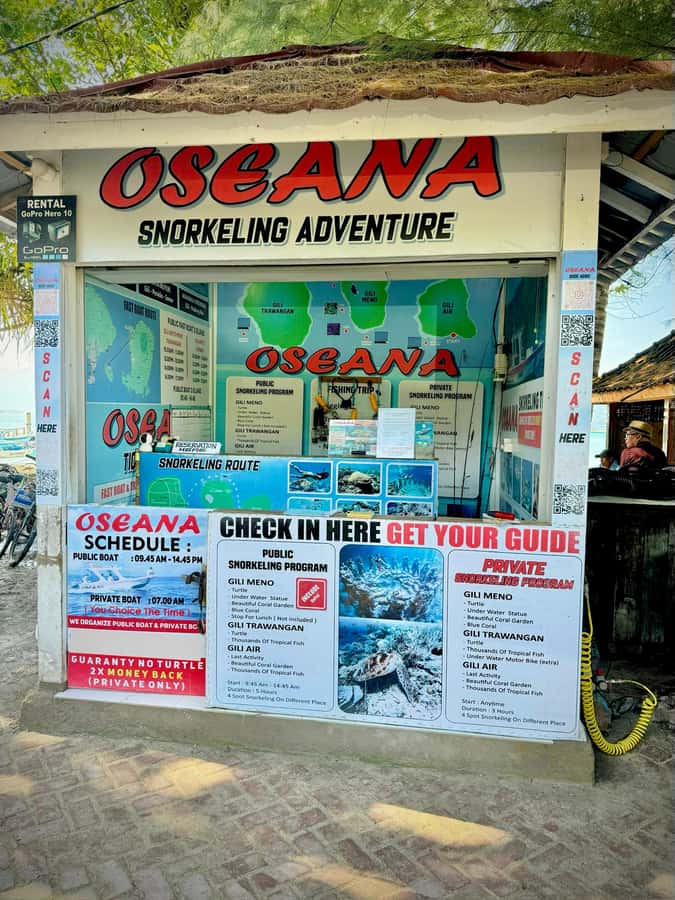 From Gili Air: Snorkeling with Turtles & Underwater Statue - Turtle encounters are the main reward