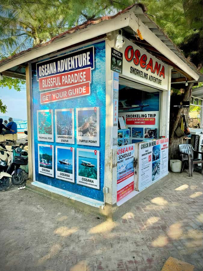 From Gili Air: Snorkeling with Turtles & Underwater Statue - GoPro photos are a nice bonus, with one limitation