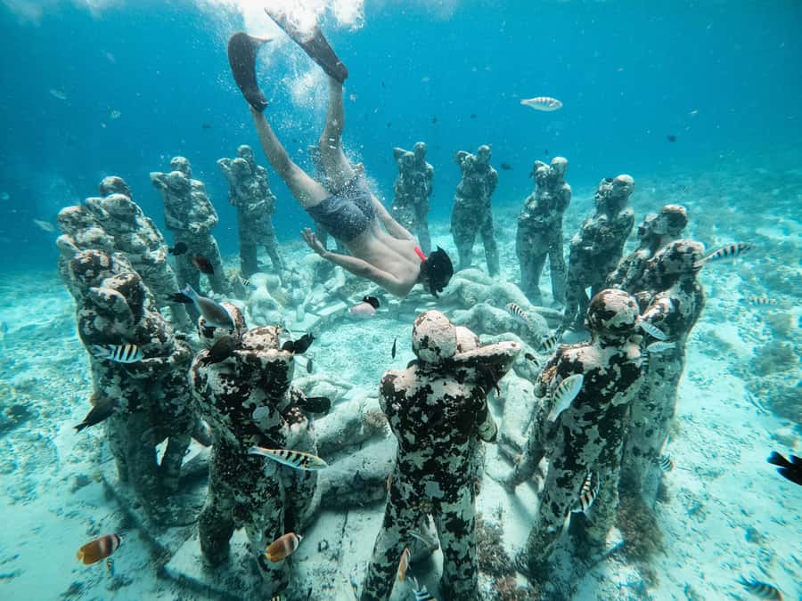From Gili Meno: Private Snorkeling with Turtle & Statue - Key points to know before booking