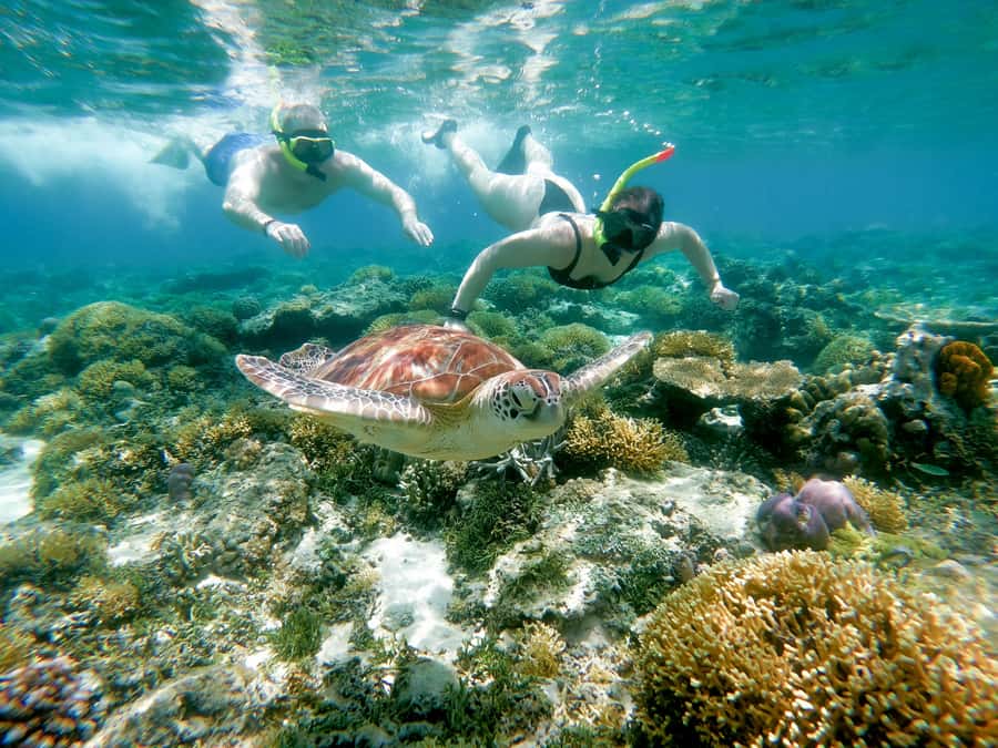 From Gili Meno: Private Snorkeling with Turtle & Statue - Choosing between two, three, and four hours