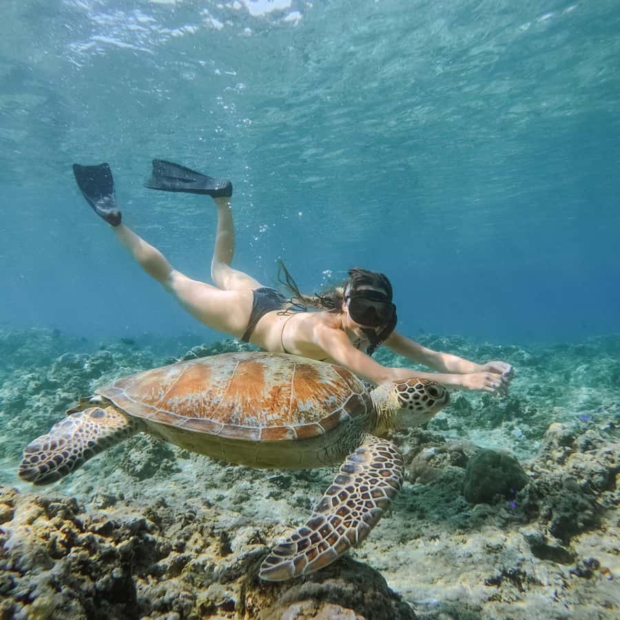 From Gili Meno: Private Snorkeling with Turtle & Statue - Why this private Gili Meno trip is worth considering