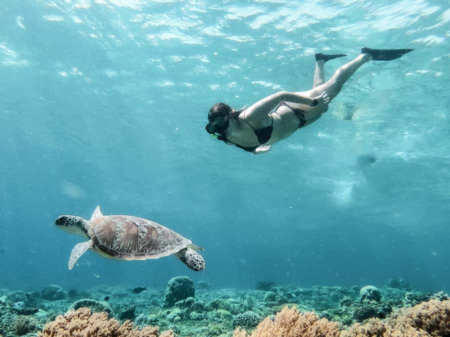 From Gili Meno: Private Snorkeling with Turtle & Statue - The glass-bottomed boat from Gili Meno