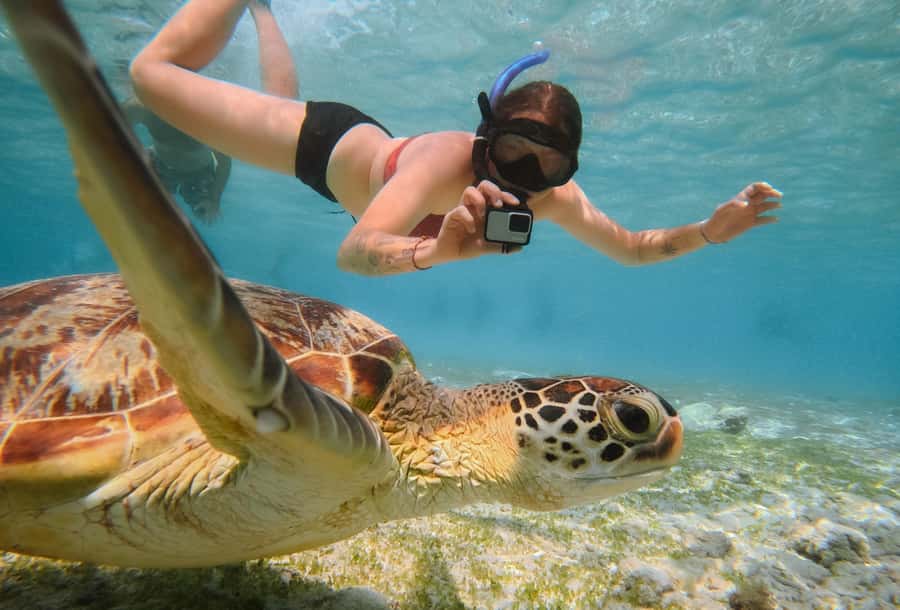 From Gili Trawangan: Gili Islands Snorkeling Boat Tour - What makes this Gili snorkeling trip worth your time