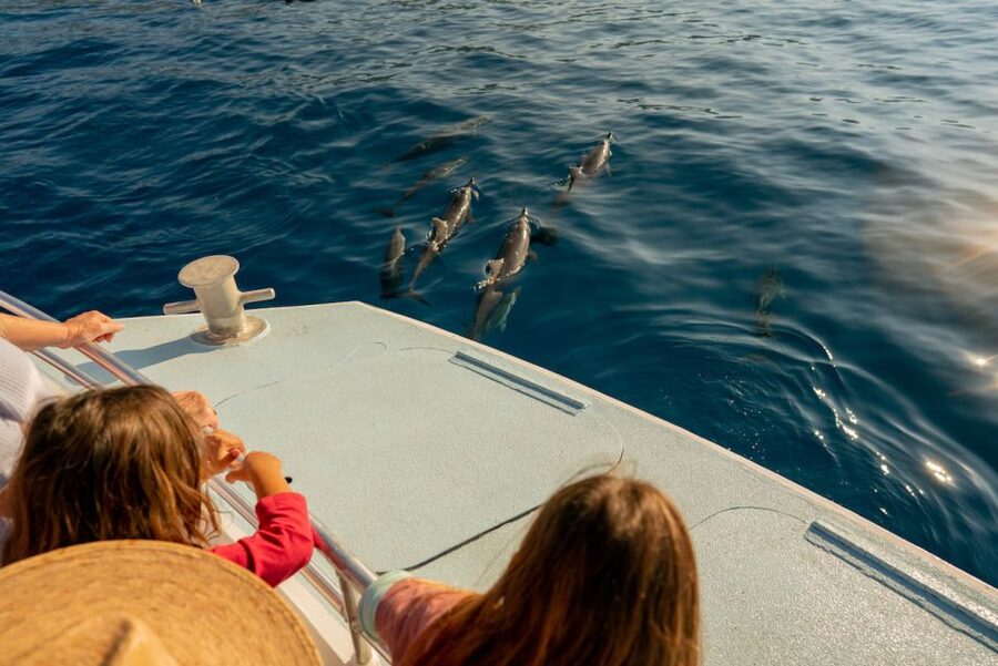 From Hawaii: Eco-Friendly Snorkeling Experience with BBQ - Barbecue lunch and the premium cash bar