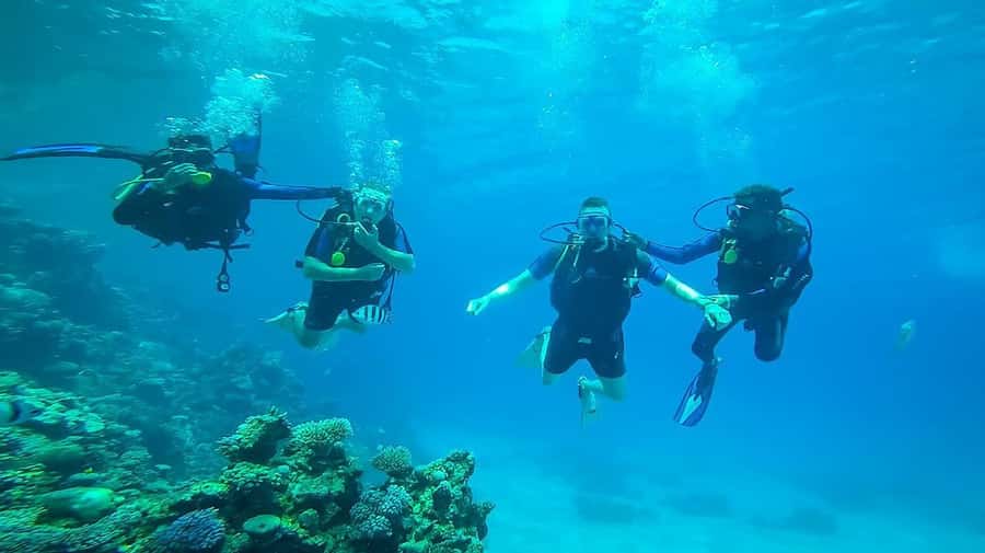 From Hurghada: Orange bay Snorkeling Cruise with Lunch - Who will enjoy this cruise most