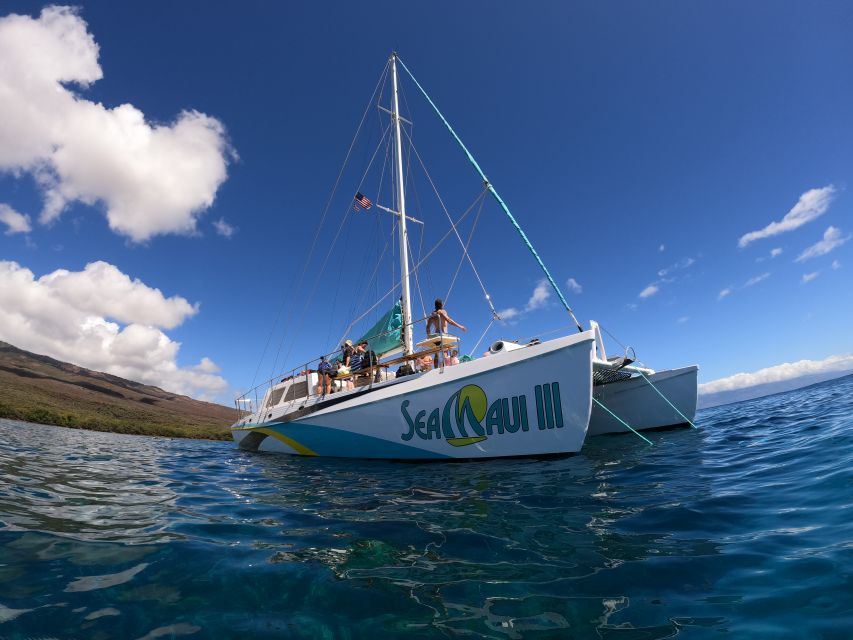 From Ka'anapali: West Maui Half-Day Snorkel Tour w/ Food - Key points to know before booking