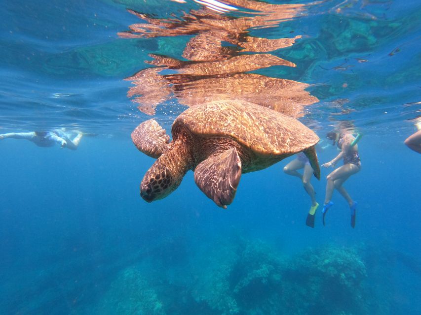 From Ka'anapali: West Maui Half-Day Snorkel Tour w/ Food - Leaving from Whalers Village for a relaxed start