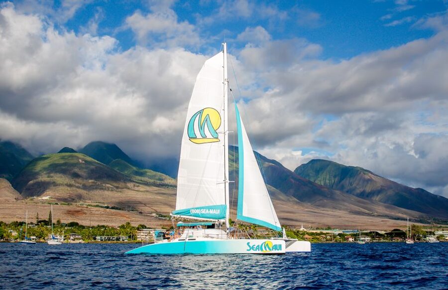 From Kaanapali: Afternoon West Maui Snorkeling w/ Drinks - Why this afternoon cruise works well