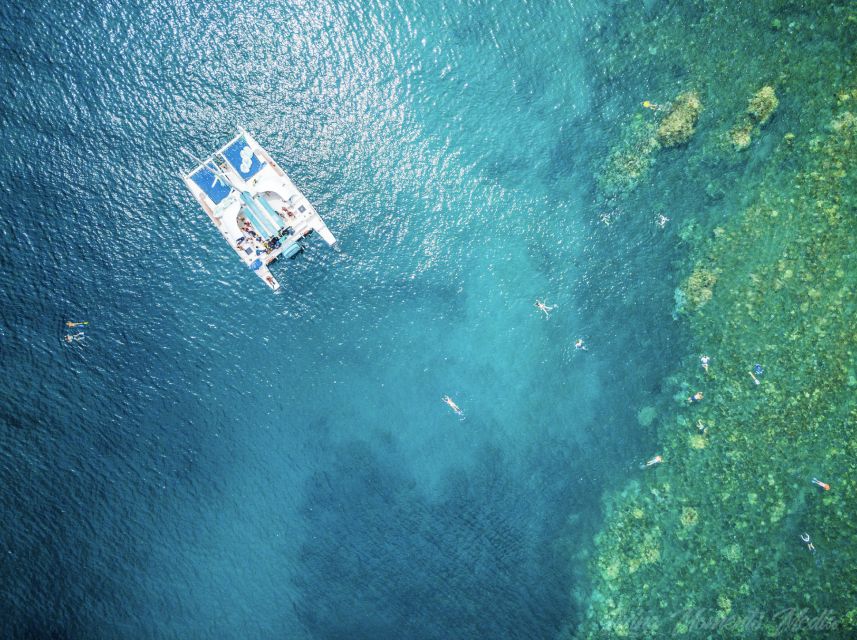 From Kaanapali: Afternoon West Maui Snorkeling w/ Drinks - Who should book this trip