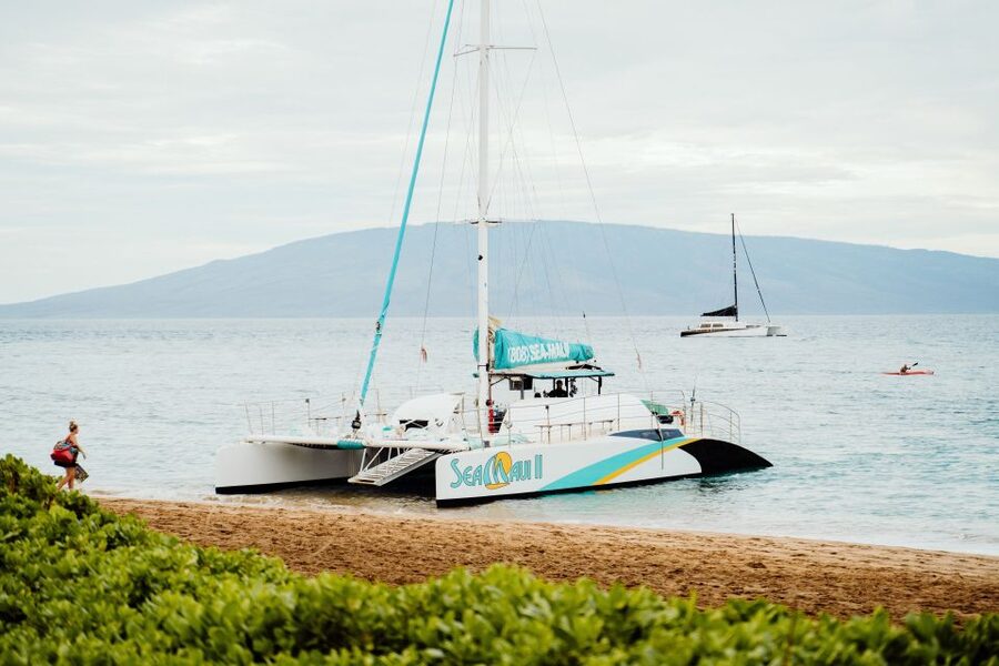 From Kaanapali: Afternoon West Maui Snorkeling w/ Drinks - Booking and cancellation details