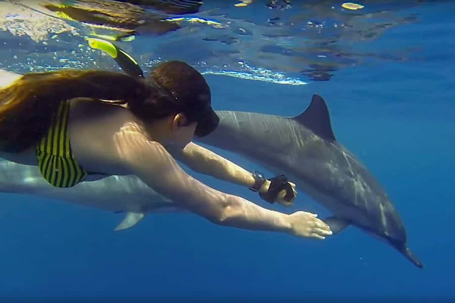 From Kendwa: Mnemba Boat Trip and Dolphin Snorkel Adventure - The quick take