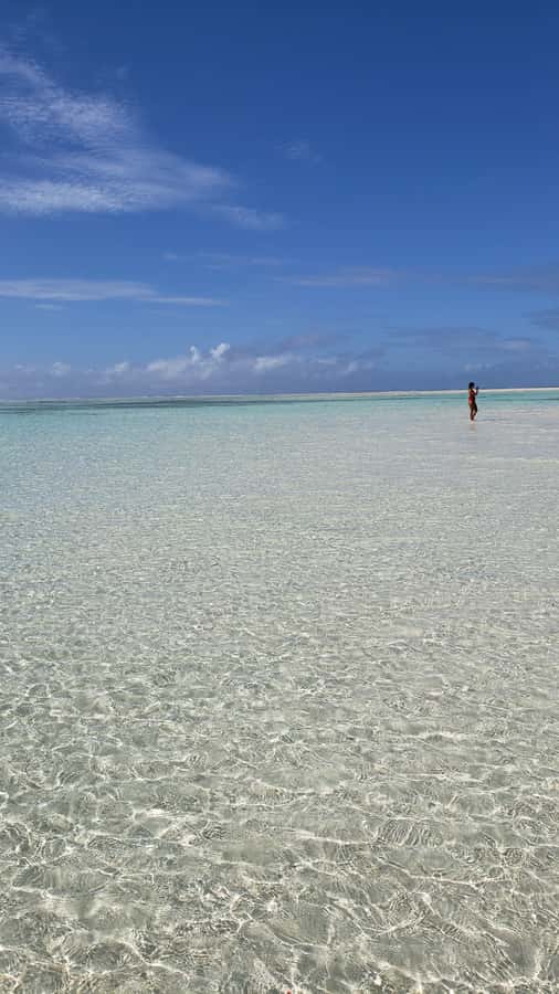 From Kendwa: Mnemba Boat Trip and Dolphin Snorkel Adventure - Snorkeling around Mnemba Atoll