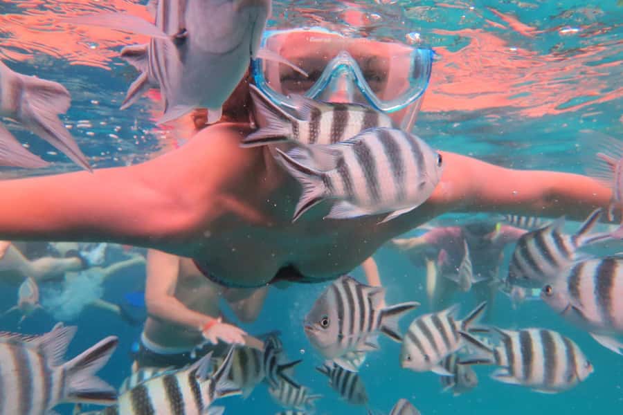From Kendwa: Mnemba Boat Trip and Dolphin Snorkel Adventure - Is $50 a fair price?