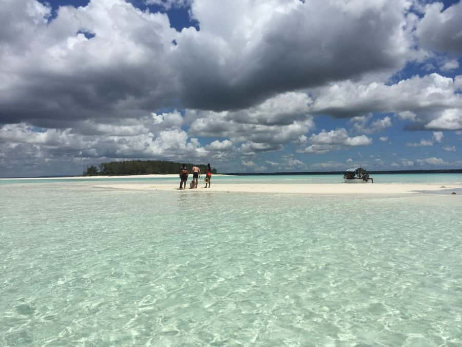 From Kendwa: Mnemba Boat Trip and Dolphin Snorkel Adventure - Who will enjoy this morning most?