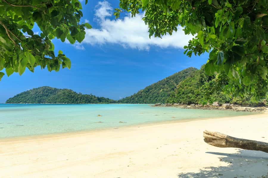From Khao Lak: Full-Day Snorkeling in the Surin Islands - Key points to know before booking