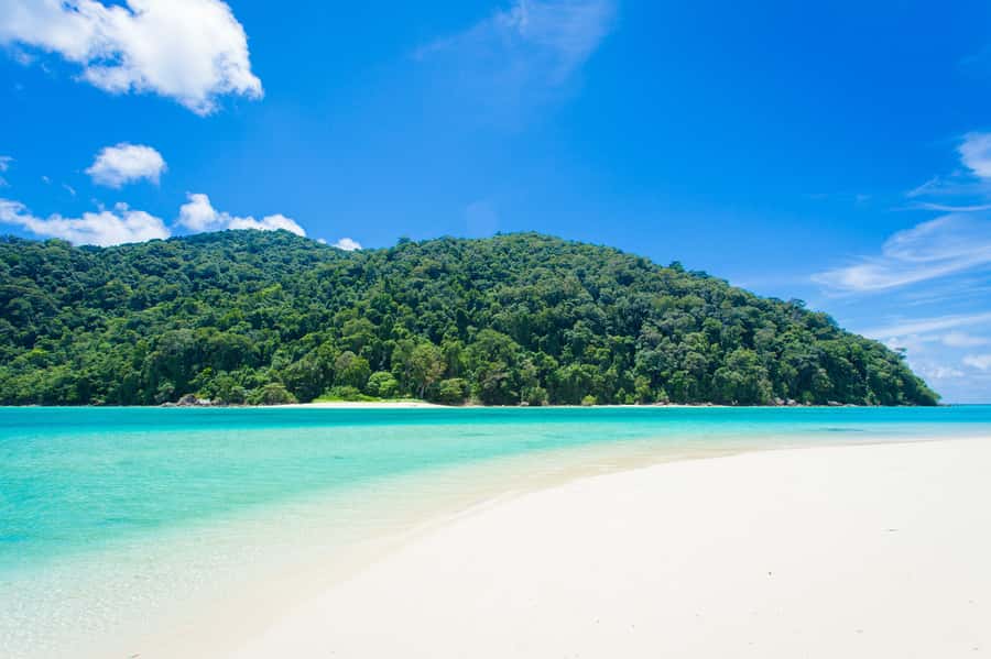 From Khao Lak: Full-Day Snorkeling in the Surin Islands - Is the $122 price worth it?