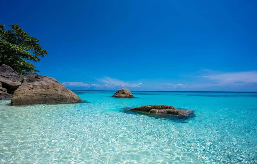 From Khao Lak & Phuket: Similan Islands Snorkeling Day Trip - Island Number 9 and the snorkeling stop