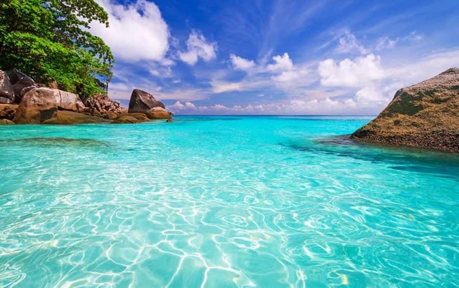 From Khao Lak & Phuket: Similan Islands Snorkeling Day Trip - Lunch and two beaches on Island Number 4