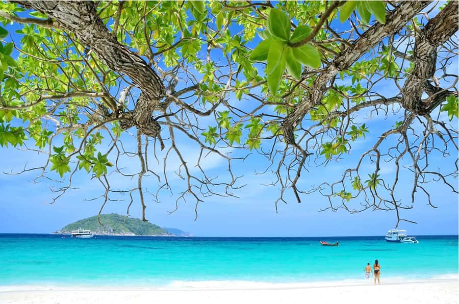 From Khao Lak: Similan Islands Day Trip with Snorkeling - What the $112 price really covers