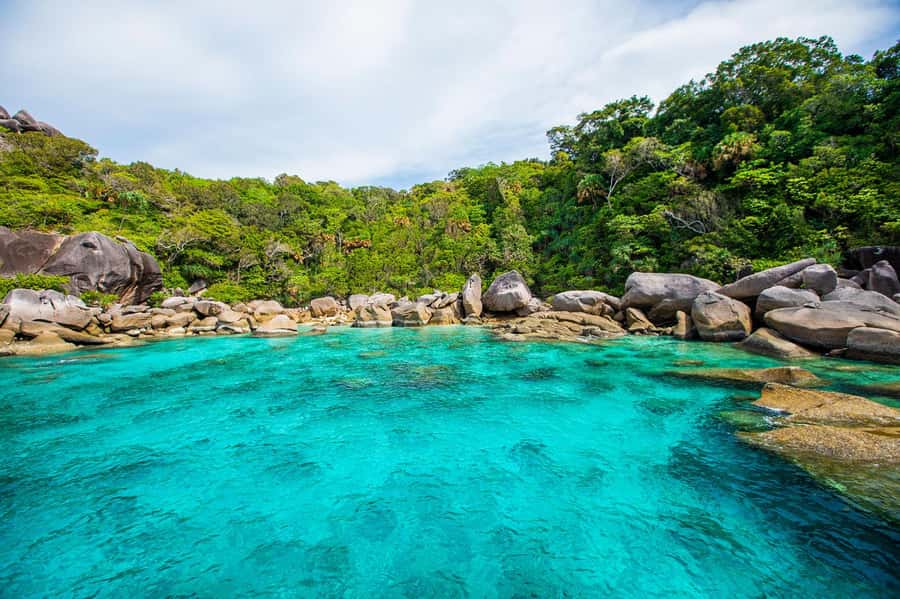 From Khao Lak: Similan Islands Snorkeling Trip with Lunch - Christmas Point at Koh Ba Ngu is the underwater highlight