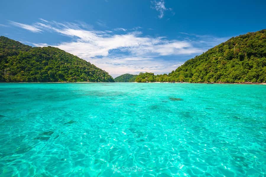 From Khao Lak: Surin Islands Snorkeling Tour w/ Meals - What the $114 price really covers