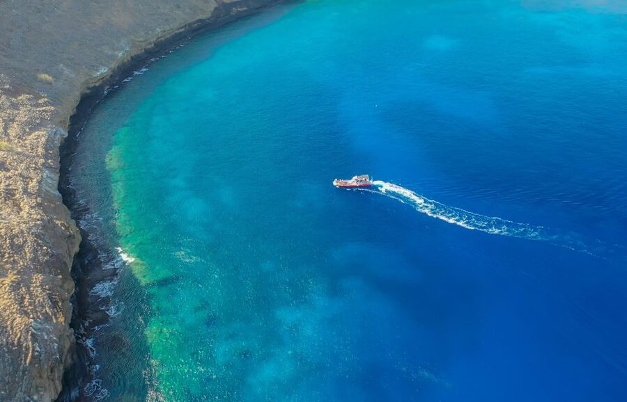 From Kihei: Molokini Crater and Turtle Town Snorkeling - Turtle Town at Makena Bay