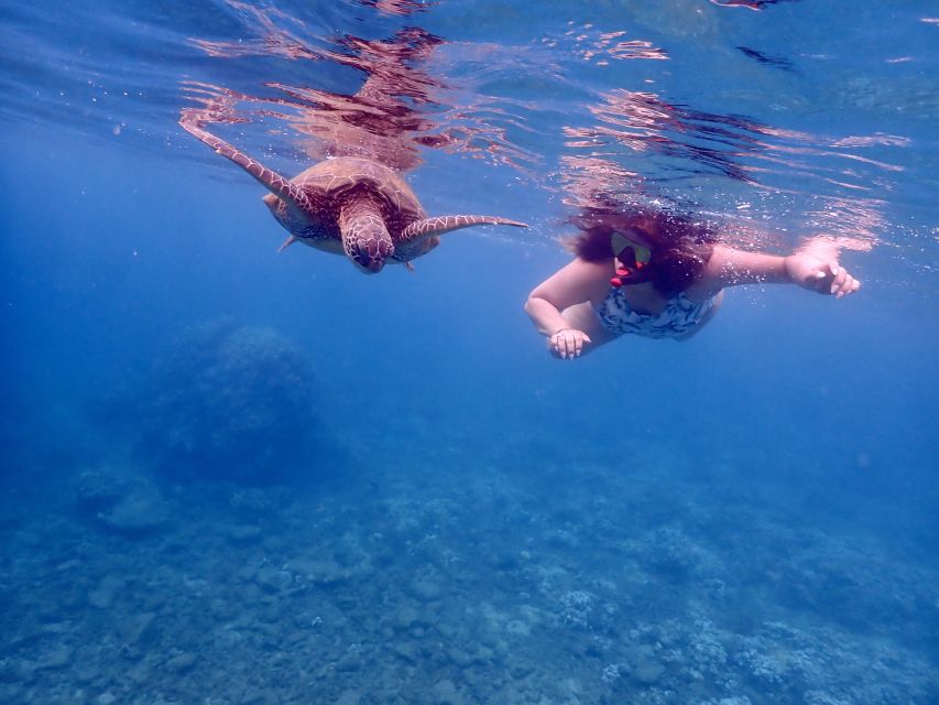 From Kihei: Molokini Crater and Turtle Town Snorkeling - What the three-hour schedule feels like