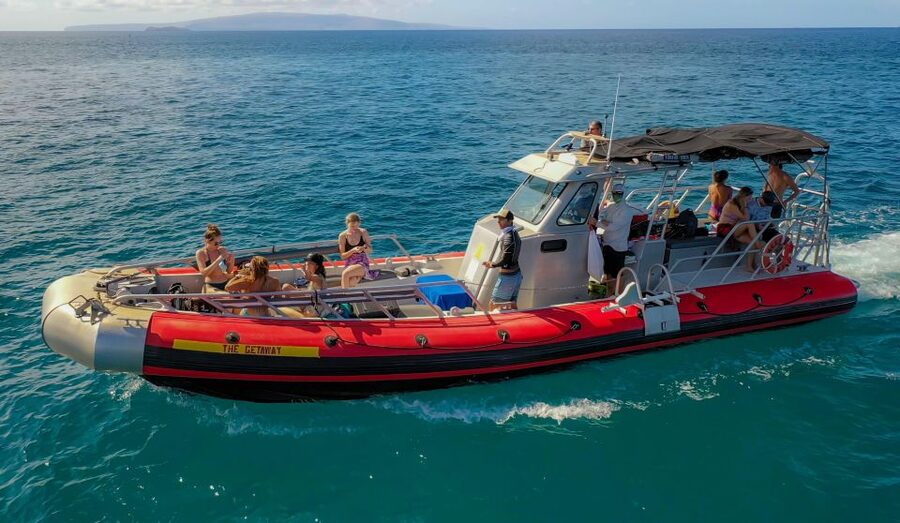 From Kihei: Molokini Crater and Turtle Town Snorkeling - Who should book, and who should skip it
