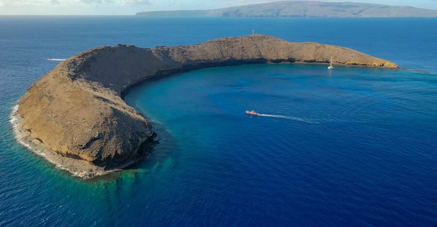 From Kihei: Molokini Crater and Turtle Town Snorkeling - Is $179 a fair price?
