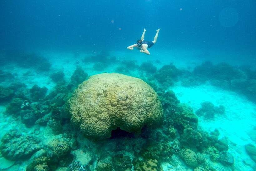 From Koh Lanta: Koh Haa & Koh Rok Snorkel Tour by Speedboat - Koh Haa: limestone islands and clear reef water