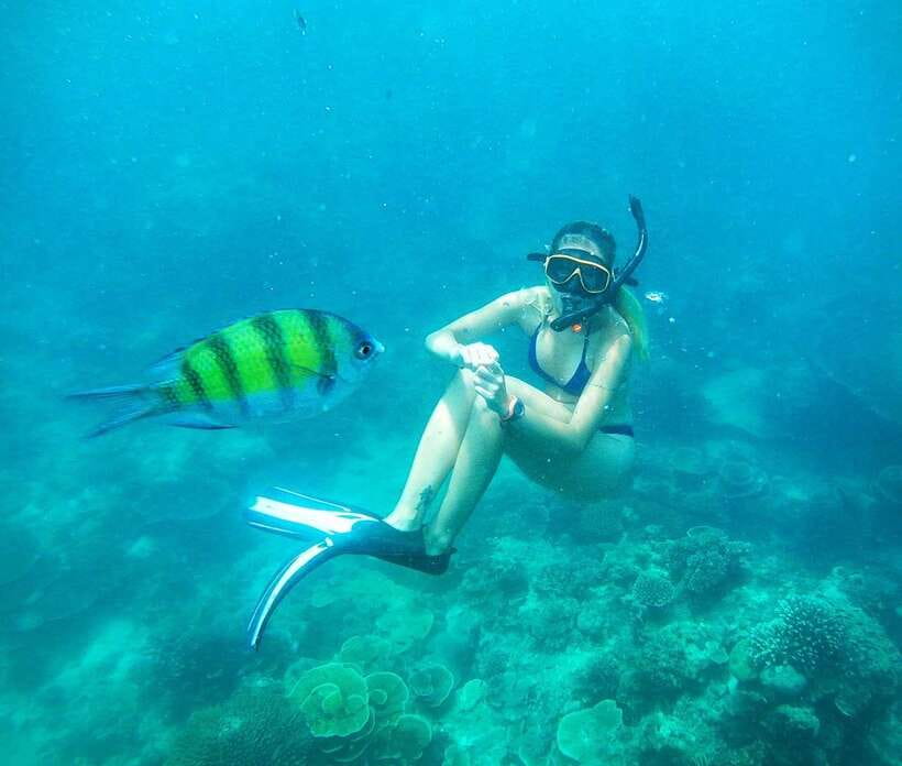 From Koh Lanta: Koh Haa & Koh Rok Snorkel Tour by Speedboat - Lunch, equipment, and what to pack