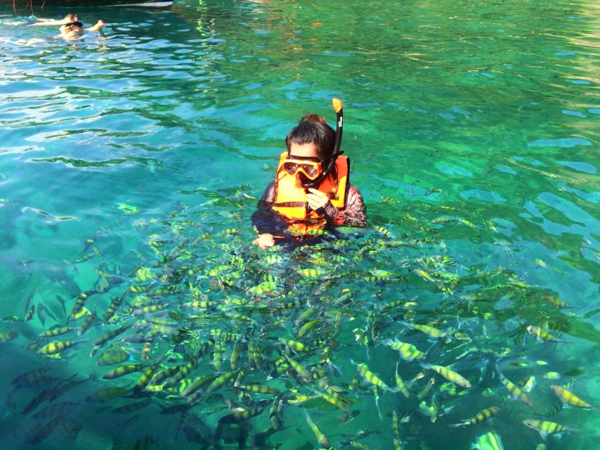 From Krabi: 4 Islands Snorkeling Tour by Speed Boat - What $41 really gets you