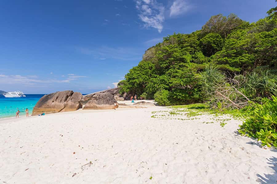 From Krabi: Similan Islands Snorkeling Trip by Speedboat - What the $156 price really covers