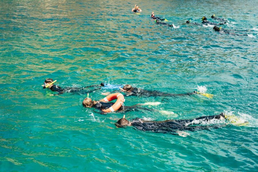 From L’Estartit: Snorkeling Trip to the Medes Islands - Why the Medes Islands are worth seeing