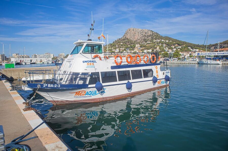 From L’Estartit: Snorkeling Trip to the Medes Islands - Fifty minutes among fish and marine plants