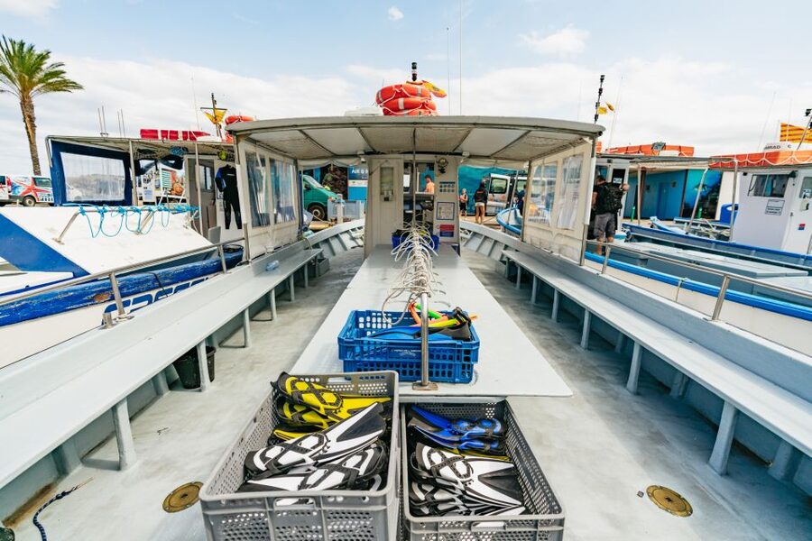 From L’Estartit: Snorkeling Trip to the Medes Islands - The return cruise and overall timing