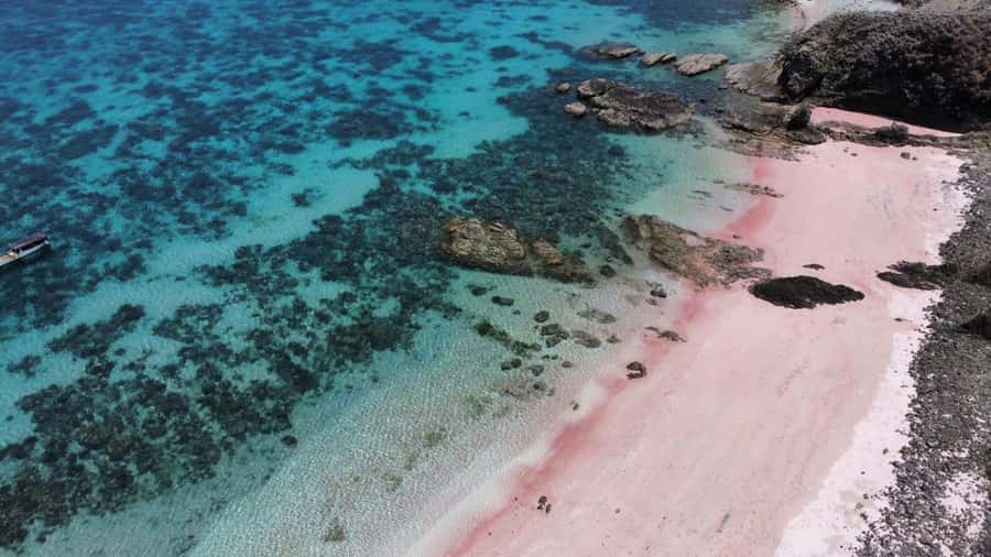 From Labuan Bajo Explore komodo island & Snorkeling - Lunch, equipment, and what you should pack