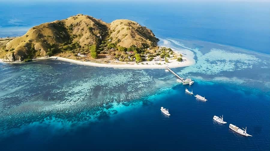 From Labuan Bajo: Komodo Island Day Tour with Snorkeling - Komodo Island: seeing dragons under ranger supervision