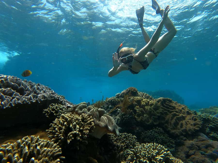 From Lembongan: Manta Point Snorkeling & West Penida Tour - Manta Point: the day’s big moment