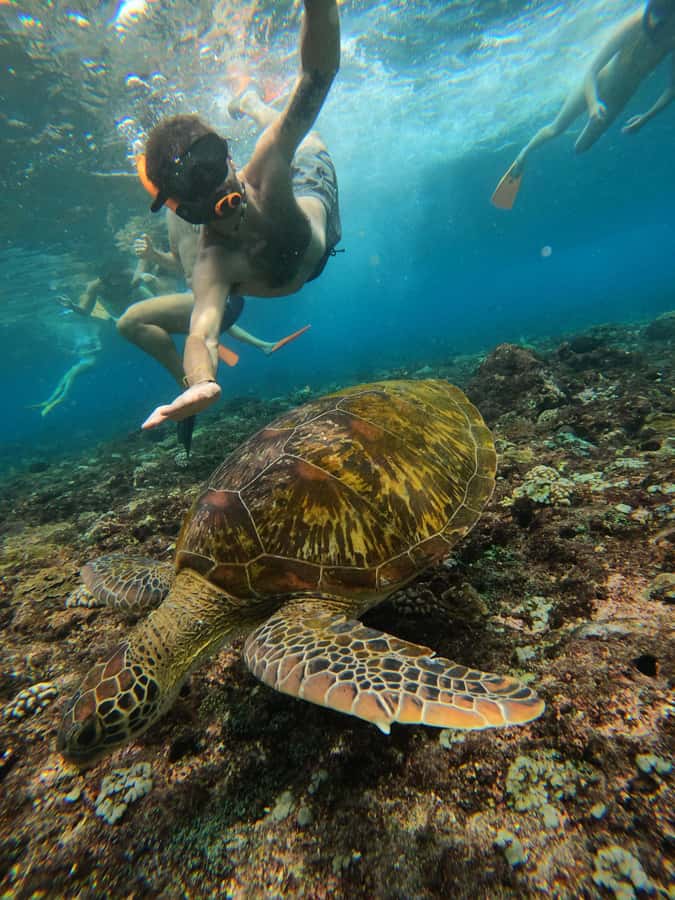 From Lembongan: Nusa Penida Private Snorkeling & West Tour - Who should book this day?